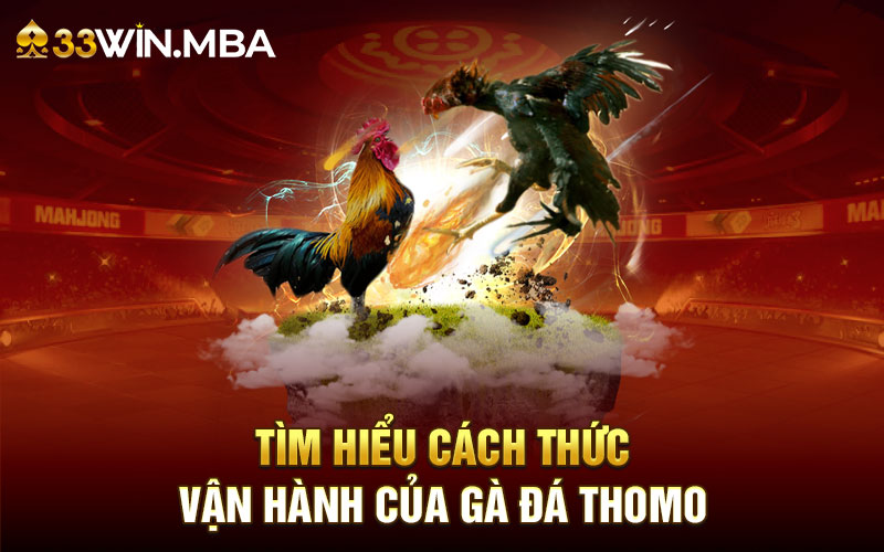 Đà Gà Thomo - Giải Trí Kiếm Thưởng Lớn Tại 33WIN